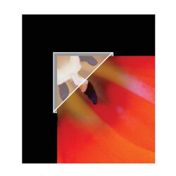 "5/8"" Photo Mounting Corners"